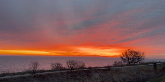 A New Life, A Moment to Pause