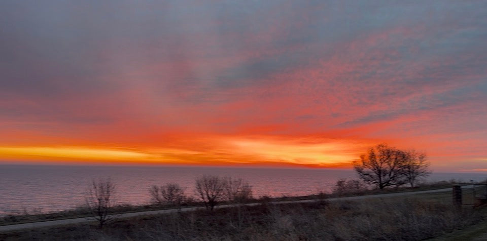 Fika Spice — When Spices Were Medicine