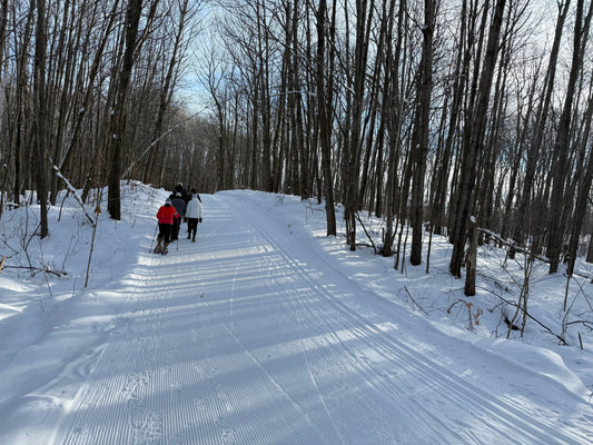 The Power of A Daily Dose