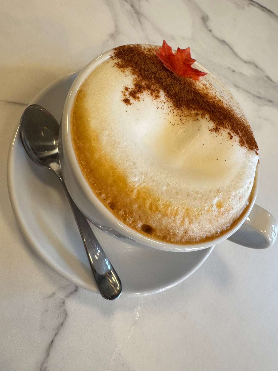 Cinnamon in Coffee Benefits: 11 Reasons to Add Cinnamon to Your Daily Coffee